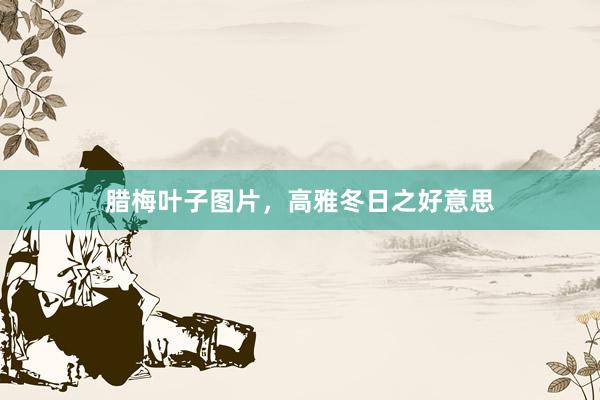 腊梅叶子图片，高雅冬日之好意思
